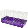 Rabbit Home Q430