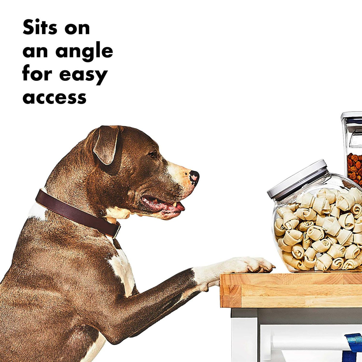 Pet Container X78793