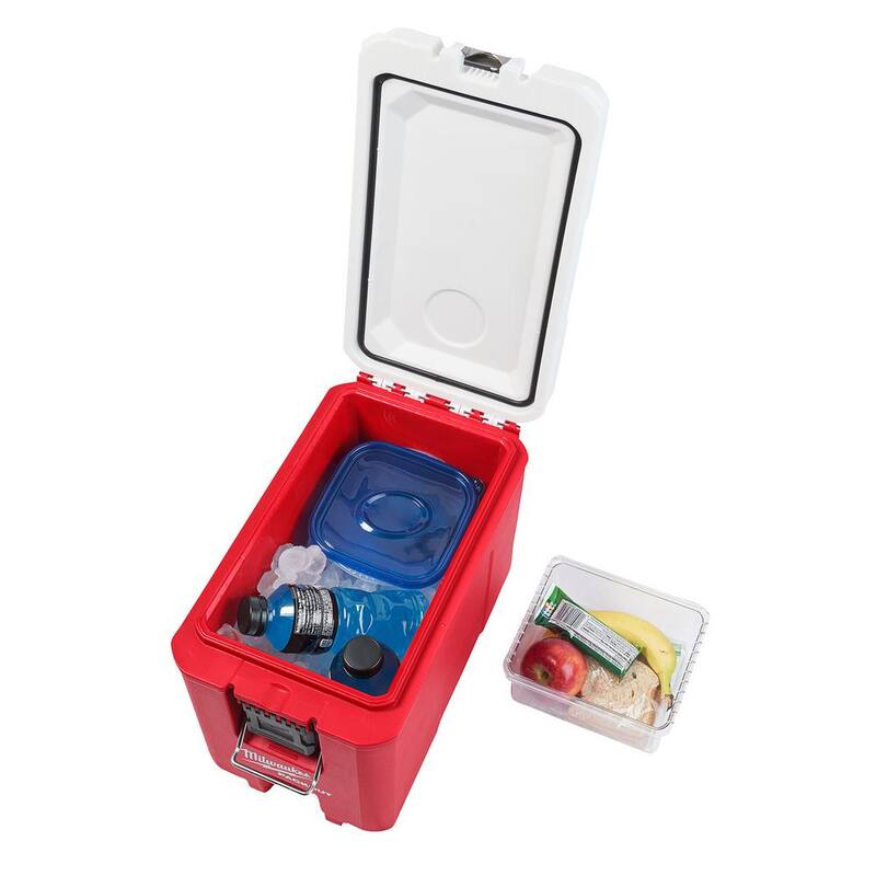 Red Compact Cooler F231