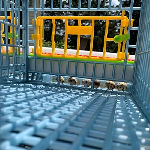 5 Layer ABS Plastic Quail Cage H491773