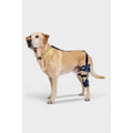 Adjustable Hinged Dog Knee Brace K16040