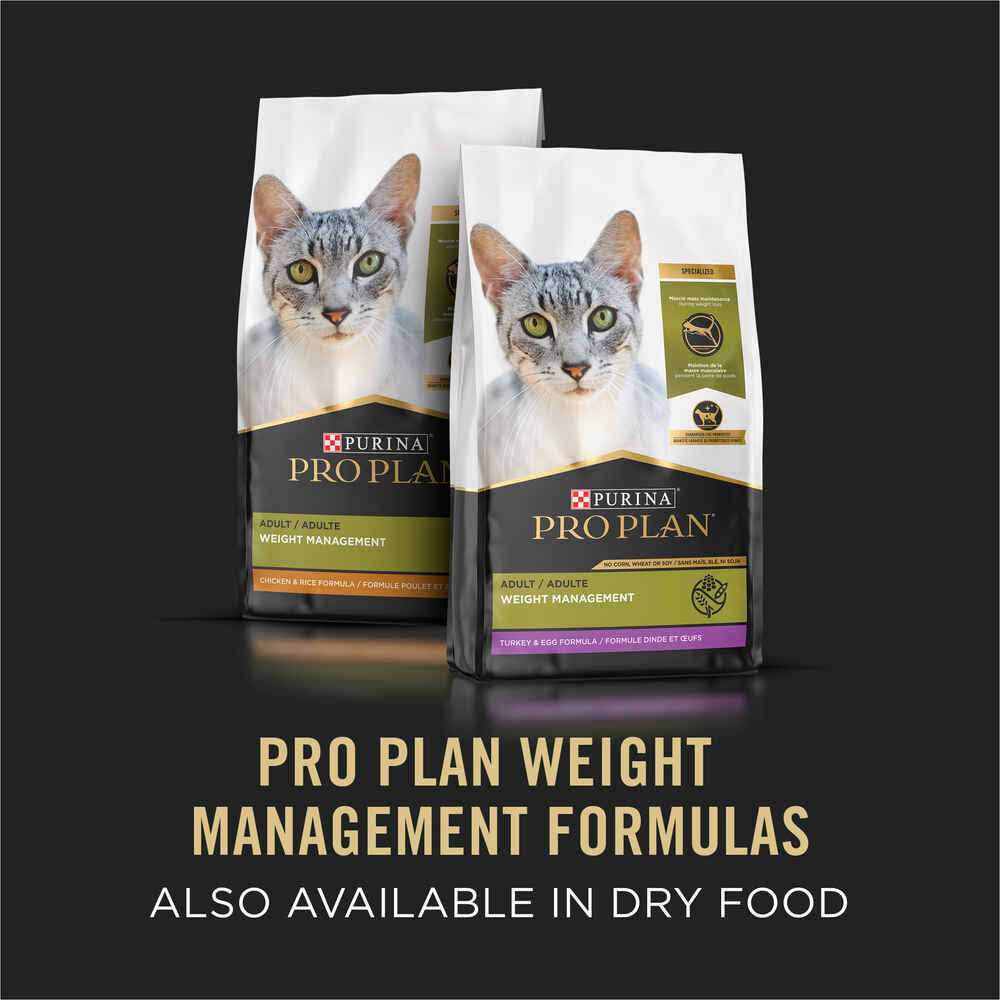Weight Management Ground Turkey & Rice Canned Cat Food U662