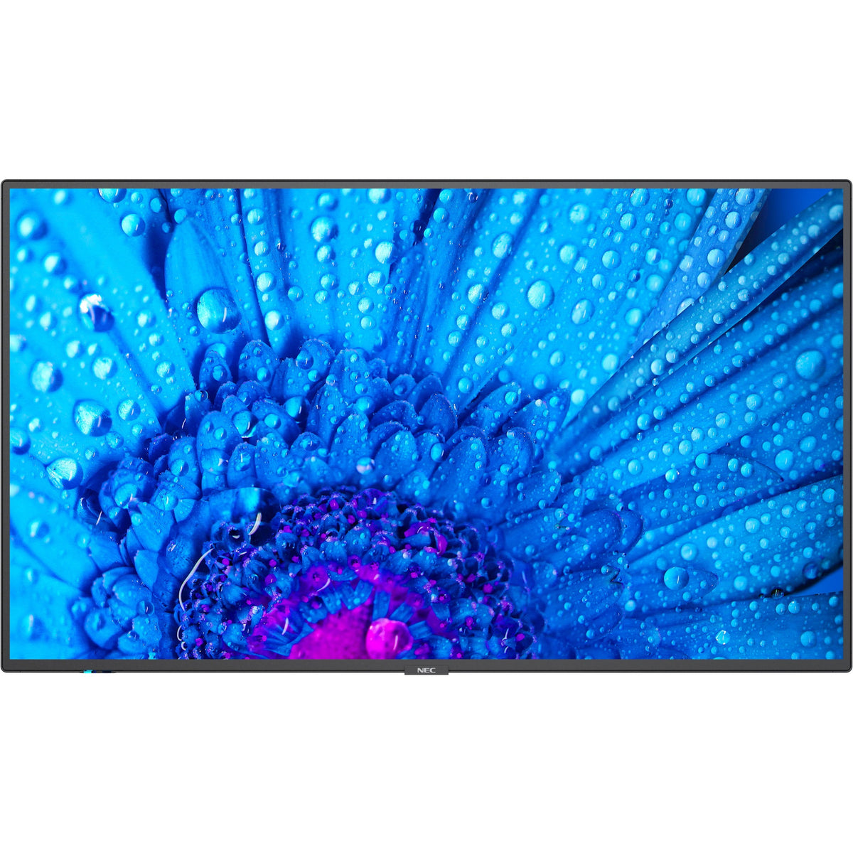 Black 43" 3840 x 2160 (4K) LED LCD Monitor E106