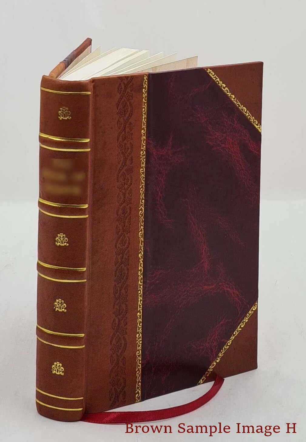 Leather Bound Book M241299