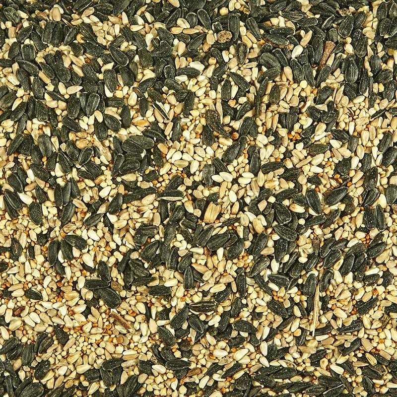 Wild Bird Food F42574