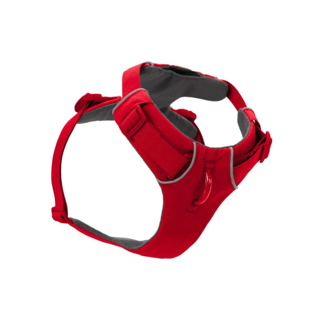 Front Range Harness A420058