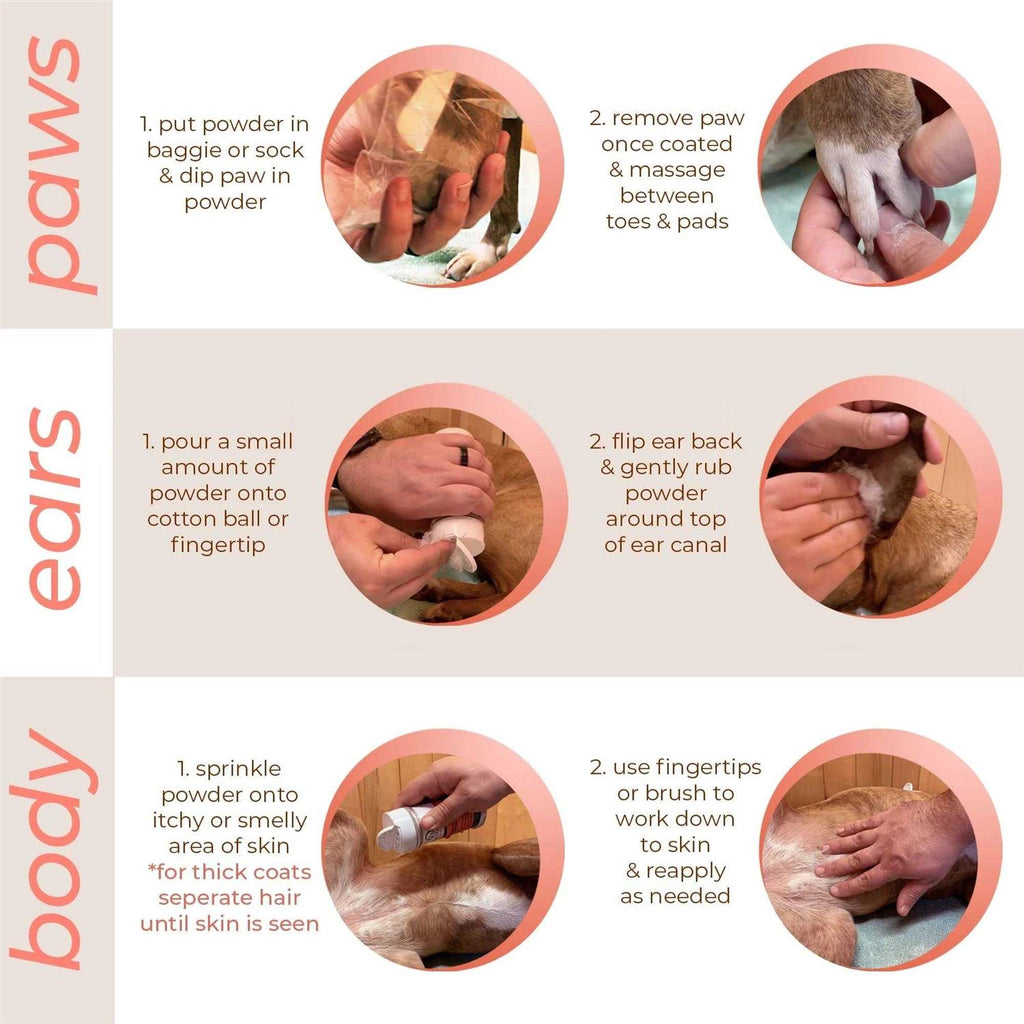 Canine & Cat Daily Preventative Powder E163