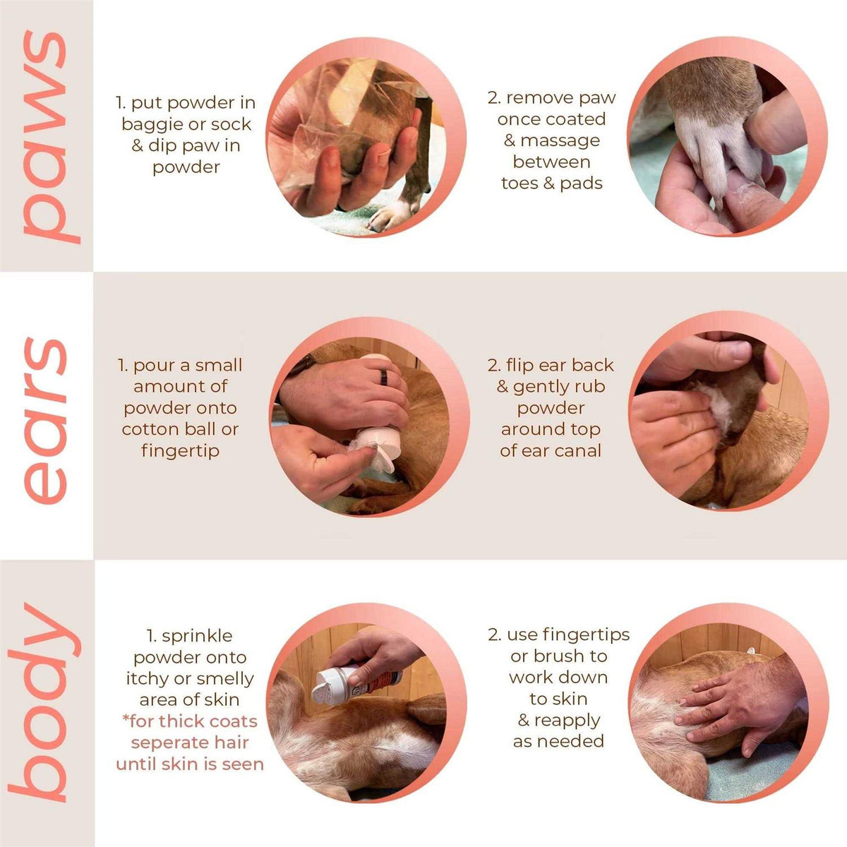 Canine & Cat Daily Preventative Powder E163