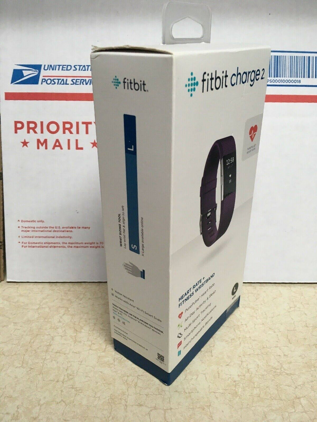 Plum Fitness Wristband Z47805