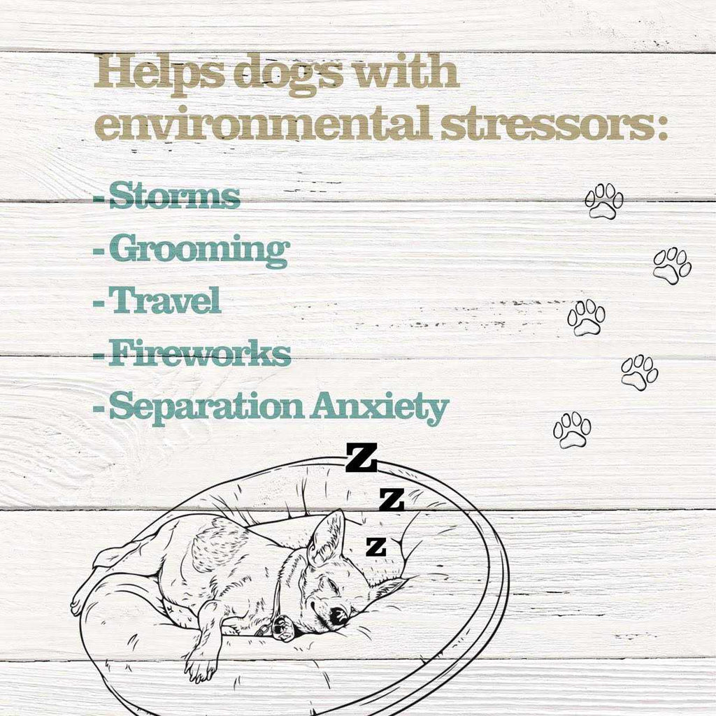 Calming Treats for Dogs E77459