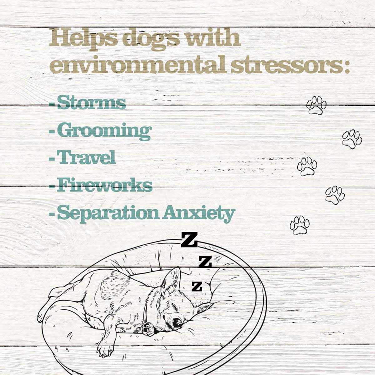 Calming Treats for Dogs E77459