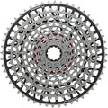 12-Speed Cassette F159