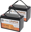 2 Pack 12V 100Ah LiFePO4 Deep Cycle Rechargeable Battery with 100A BMS E958