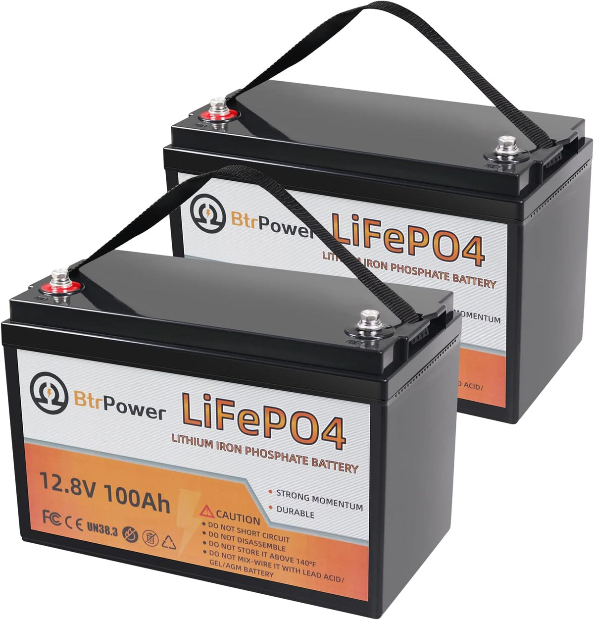 2 Pack 12V 100Ah LiFePO4 Deep Cycle Rechargeable Battery with 100A BMS E958