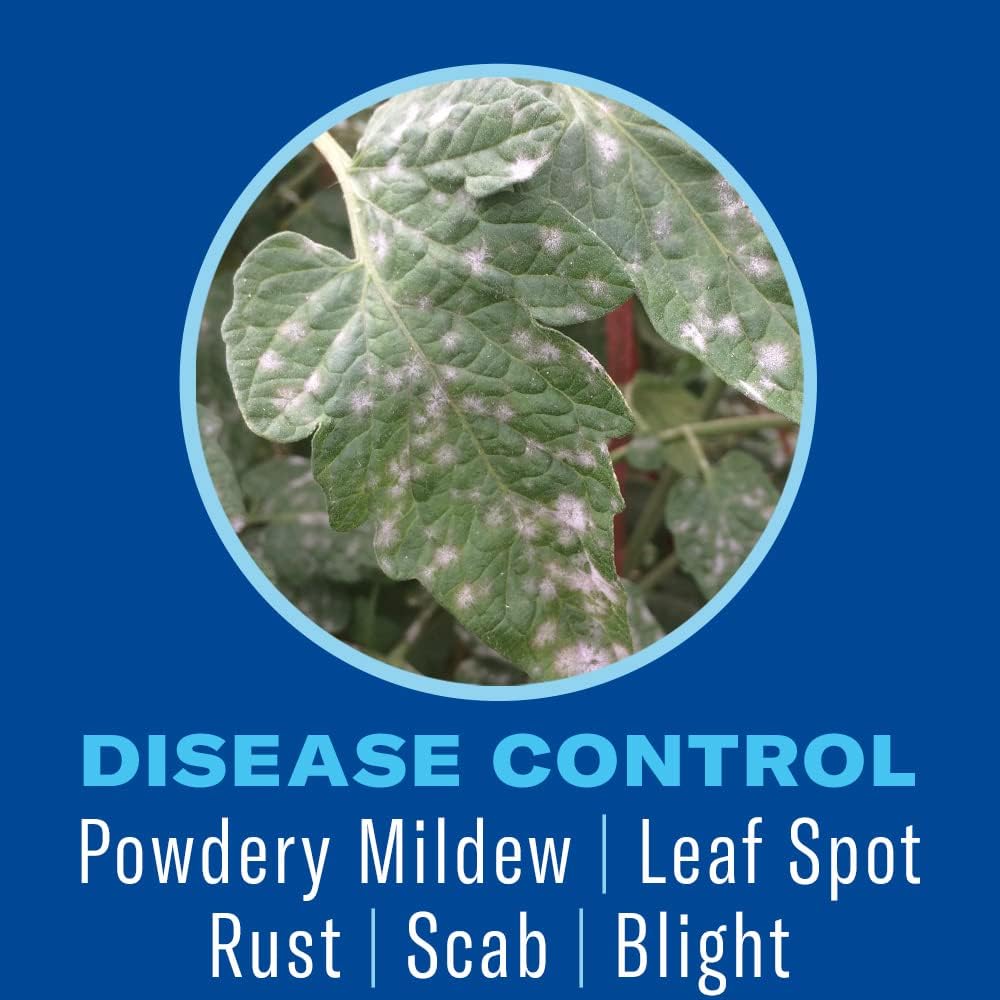 24 oz Houseplant Insect & Mite Control U67497