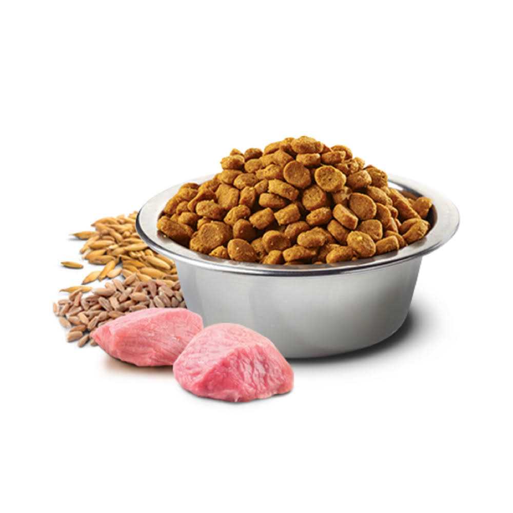 Chicken & Pomegranate Adult Dry Cat Food C57798