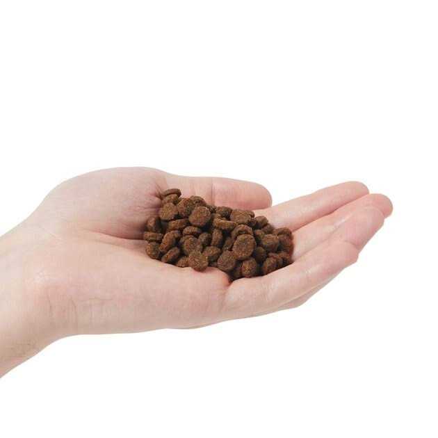 Chicken & Pomegranate Adult Dry Cat Food C57798