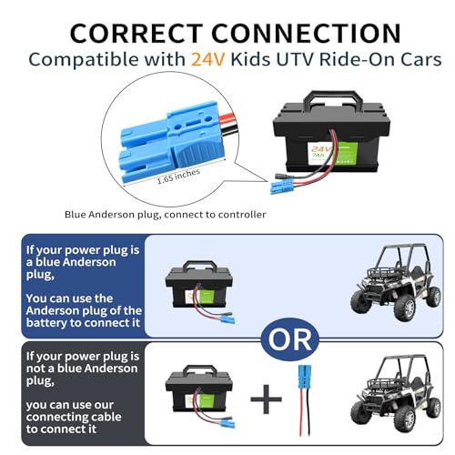 24V 12Ah Lithium Battery for Ride-On Cars N63697