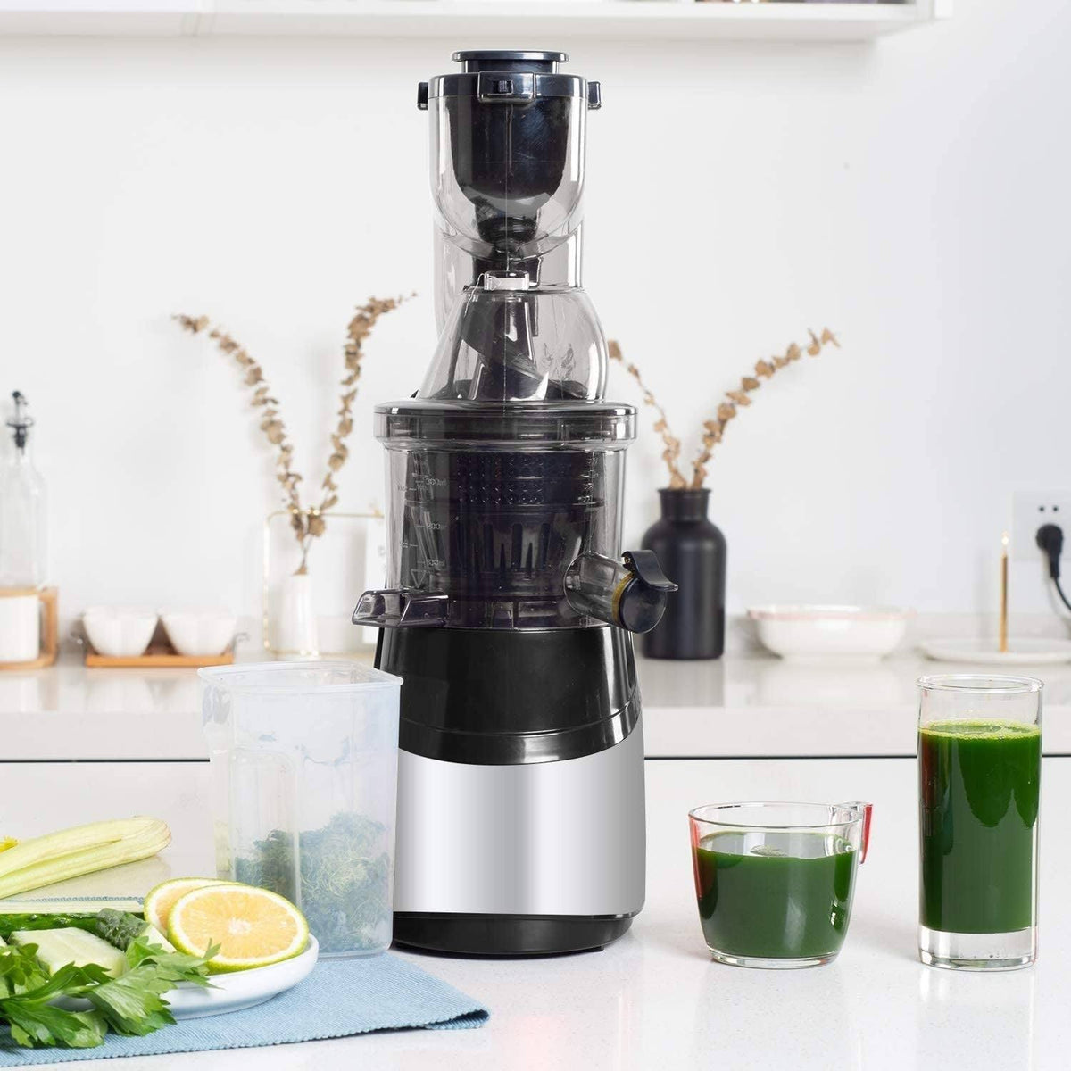 Slow Masticating Juicer Cold Press Extractor with Wide Chute Red C199
