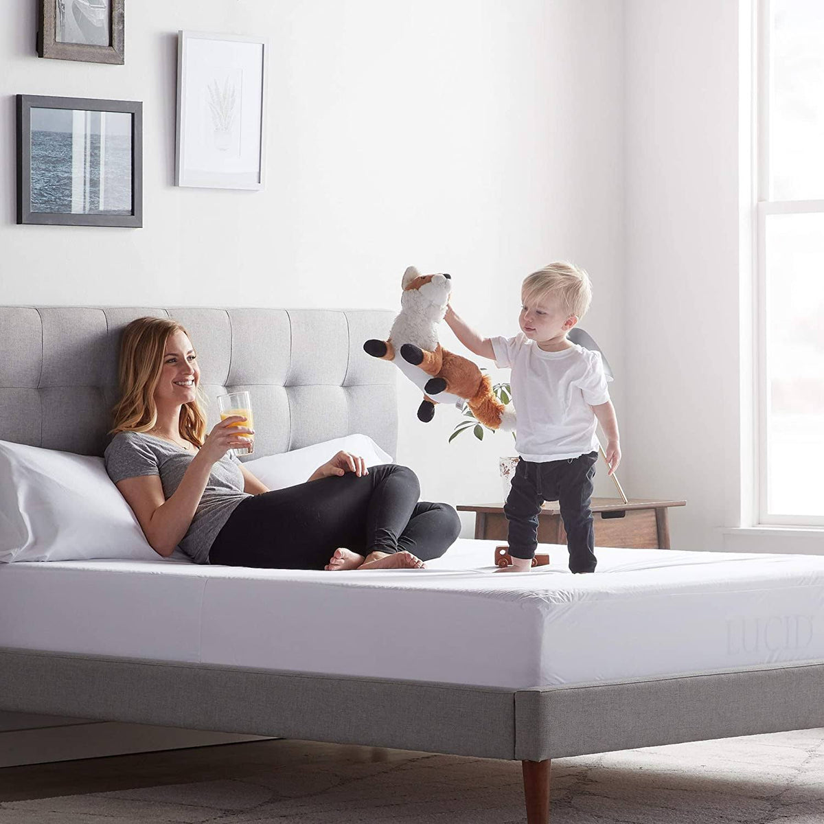 Twin Mattress Protector D573573
