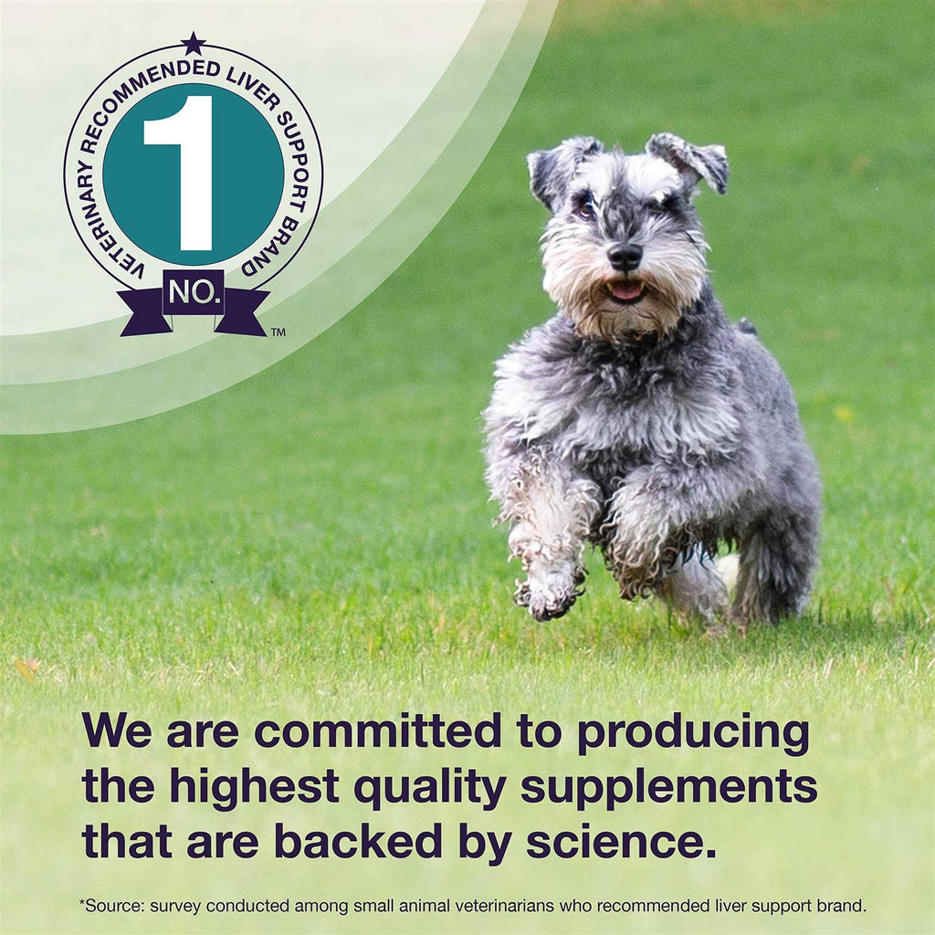 Liver Health Supplement Dogs V235