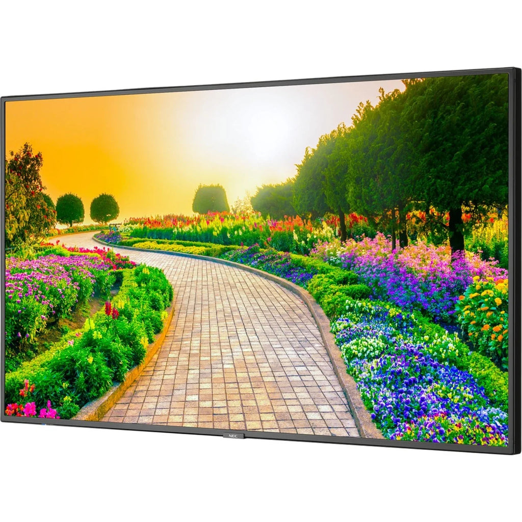 Black 43" 3840 x 2160 (4K) LED LCD Monitor E106