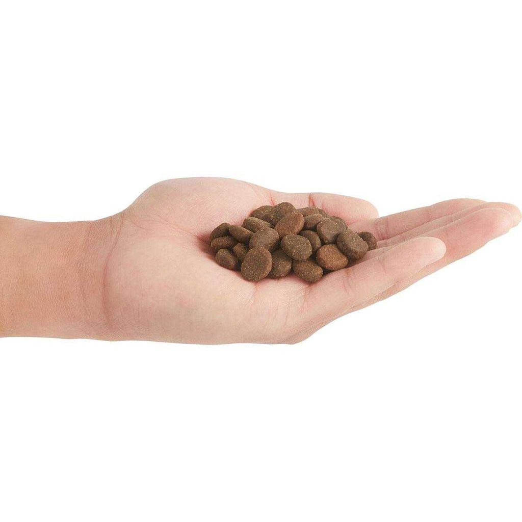 Dry Dog Food D48363