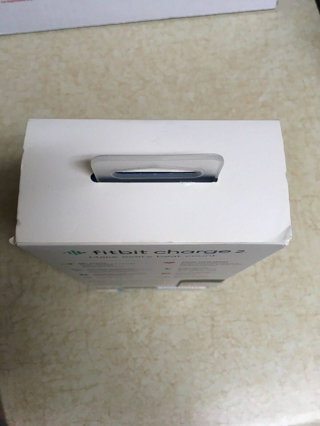Plum Fitness Wristband Z47805