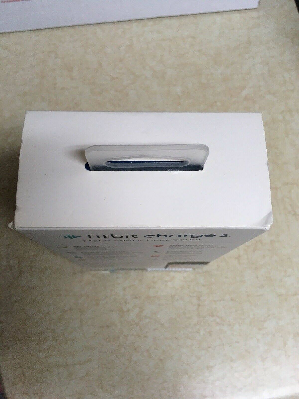 Plum Fitness Wristband Z47805