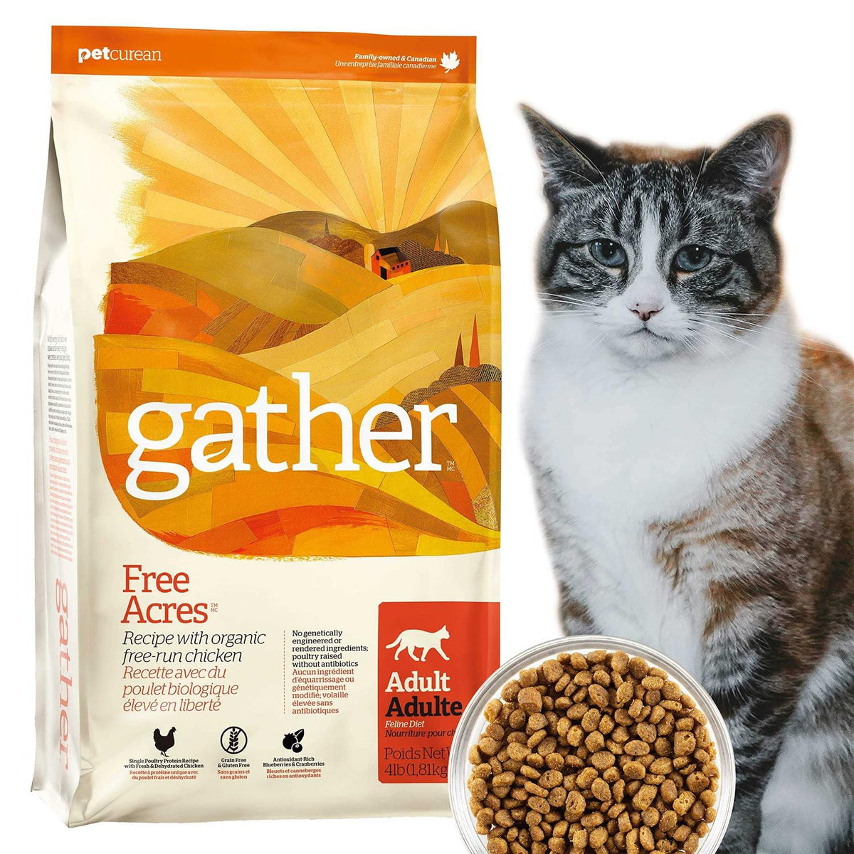 Organic Free-Run Chicken Dry Cat Food Z13697