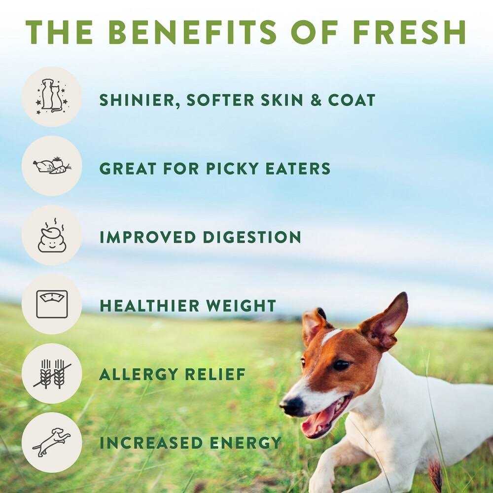 Chicken Recipe Dog Food Roll C312