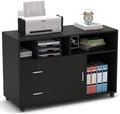 Black 2 Drawer Wood File Cabinet with Locks and Wheels V4975