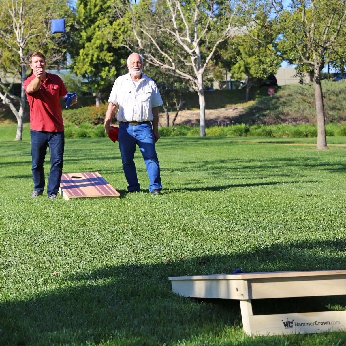 Cornhole Game O260940