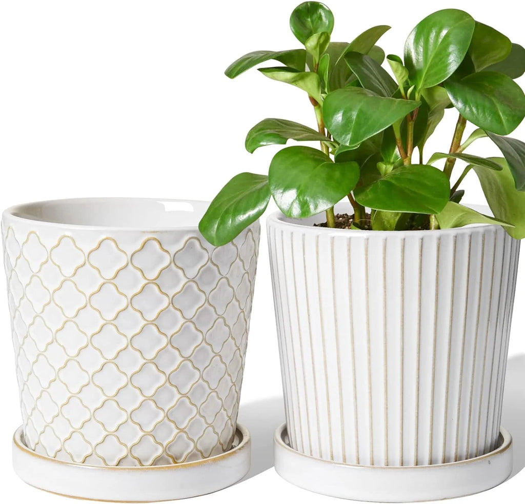 5.4 Inch Embossed Ceramic Plant Pots with Drainage, Set of 2, White I28965