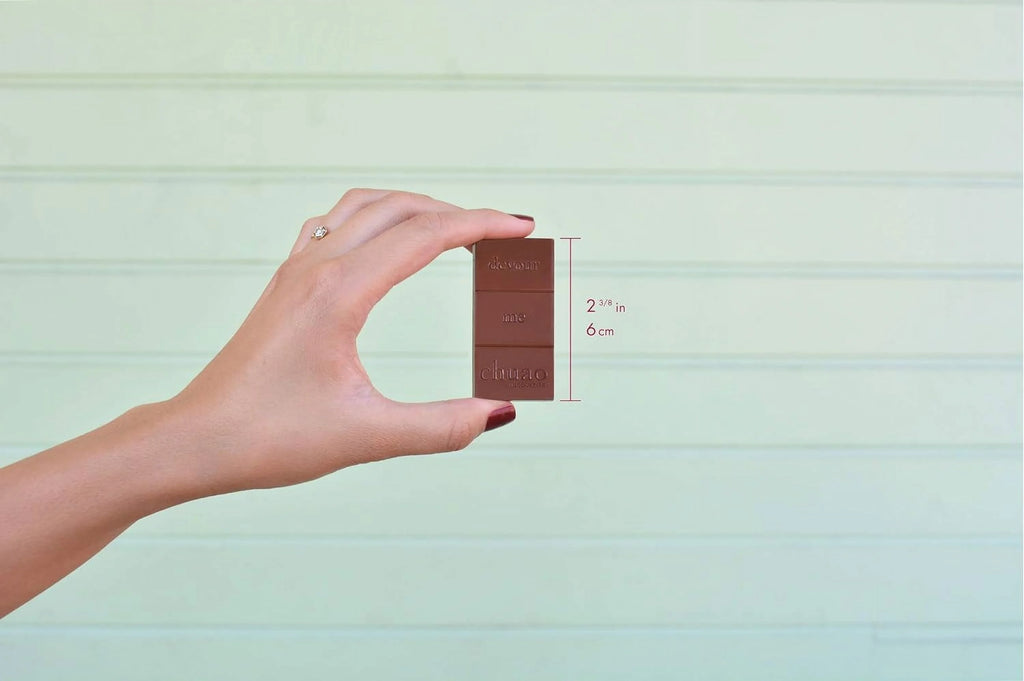 Milk Chocolate Assorted Bars 16 Pieces X483205