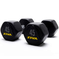 20 Lbs Hex Dumbbells Weight Set T6343