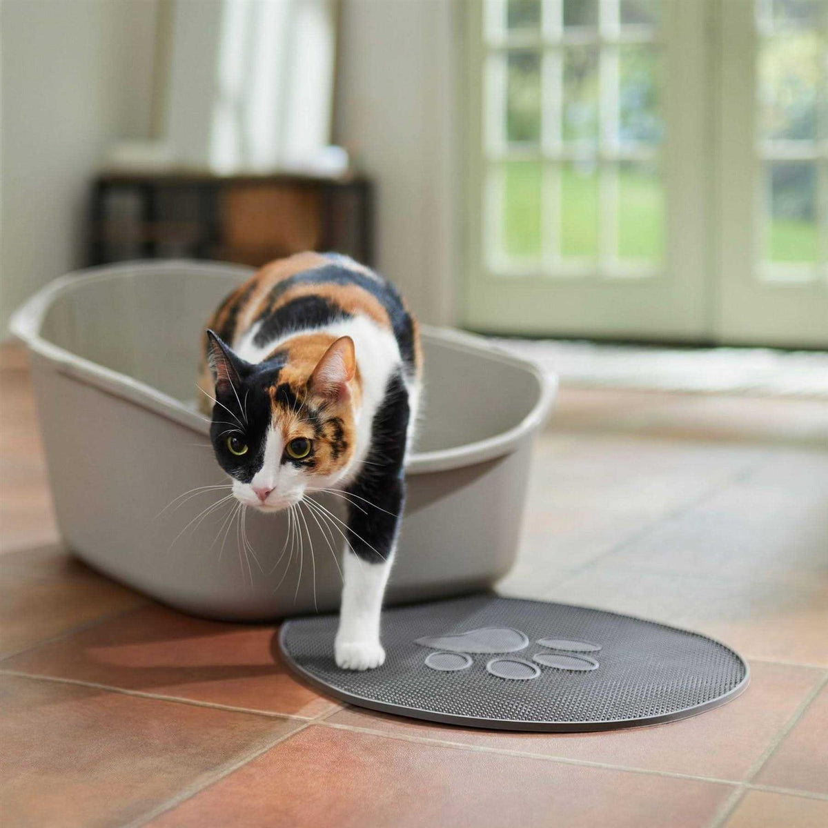 High Back Cat Litter Box P643