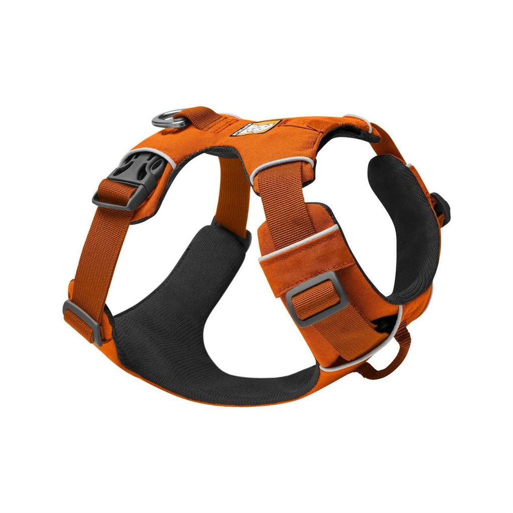 Front Range Harness A420058