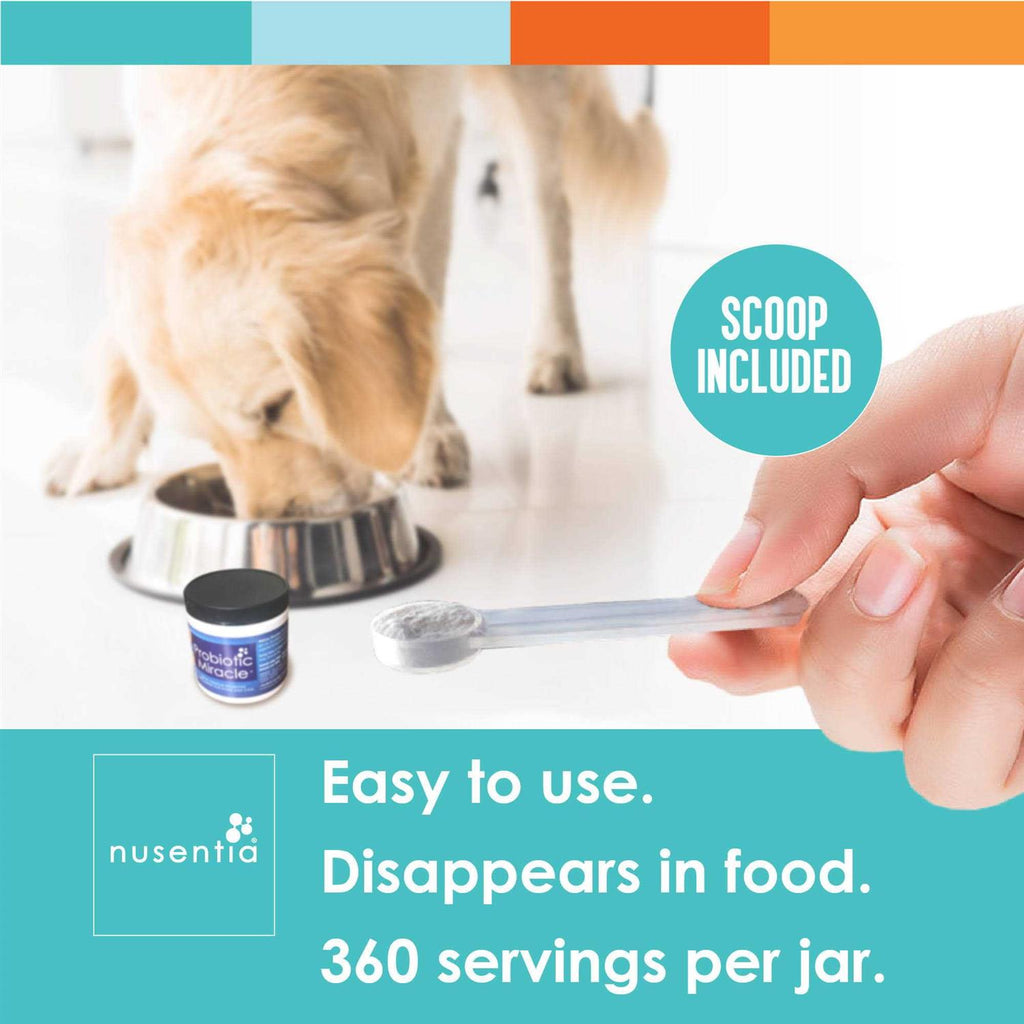 Probiotics for Dogs T761