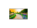 Black 43" 3840 x 2160 (4K) LED LCD Monitor E106