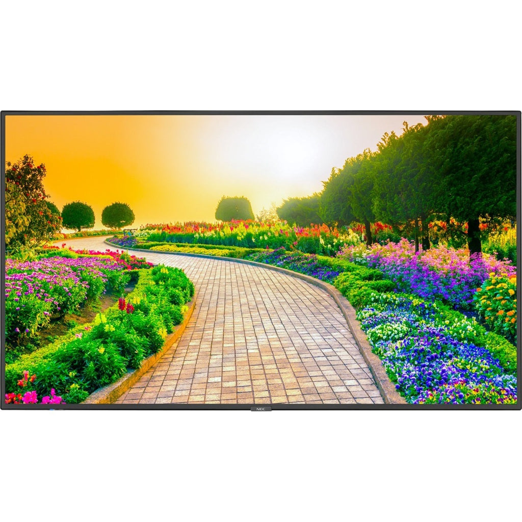 Black 43" 3840 x 2160 (4K) LED LCD Monitor E106