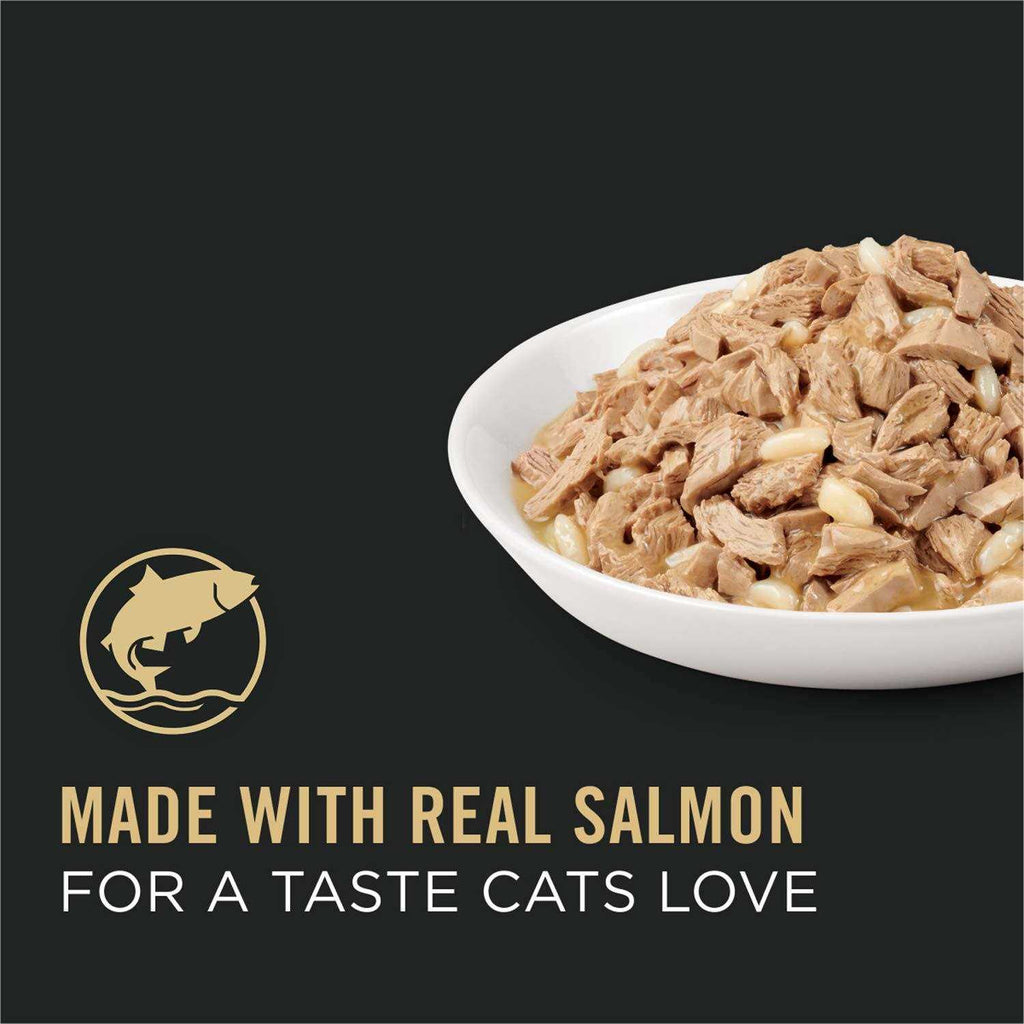 Adult Cat Food Salmon & Rice Entree in Sauce W553