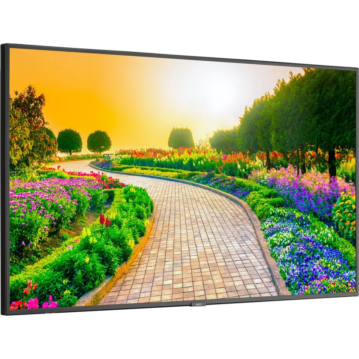 Black 43" 3840 x 2160 (4K) LED LCD Monitor E106