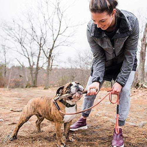 Grain-Free Dry Dog Food C730713