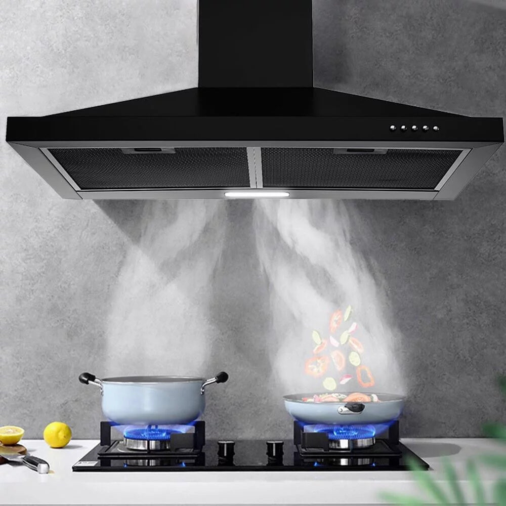 24 inch Wall Mounted 450 CFM 3-Speed Range Hood S10840