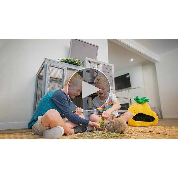 Indoor Outdoor Rabbit C48008