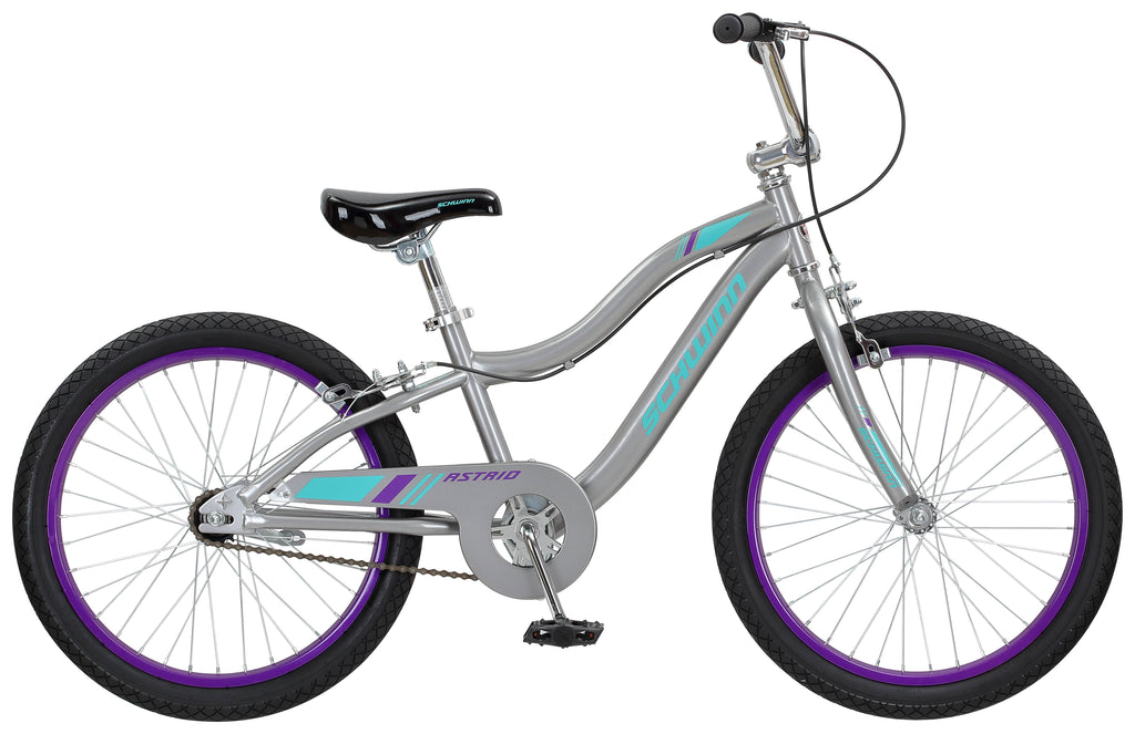 Kids Bike - Gray E5348