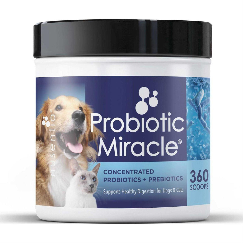 Probiotics for Dogs T761