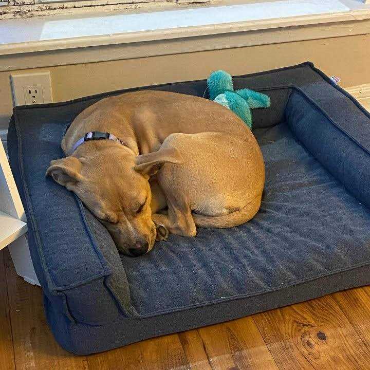 Sofa Bolster Dog Bed K72074