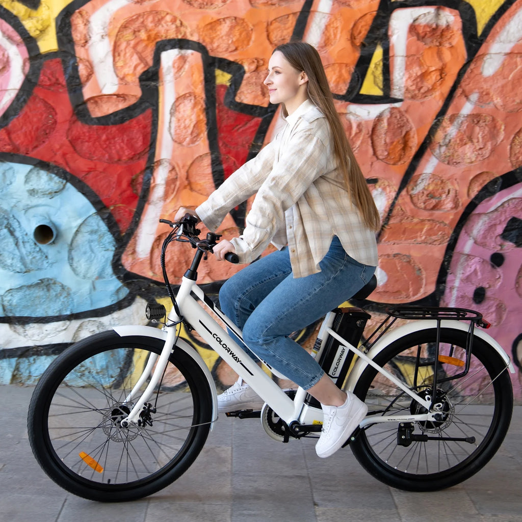 500W 36V 12AH Electric Bike E548068